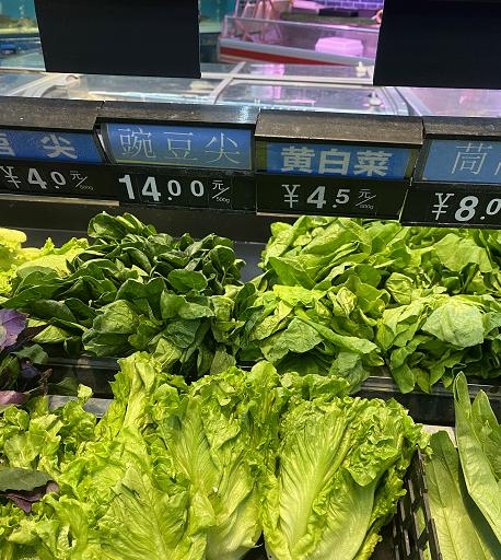 中卫酒店厨房厨具 第279页
