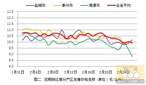 泰州猪行情