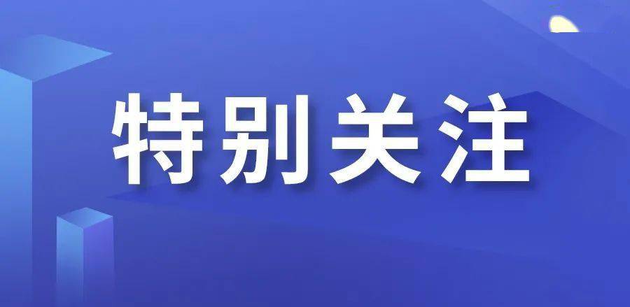 市场监管改革最新动态，深度解析其影响及一种观点的分析