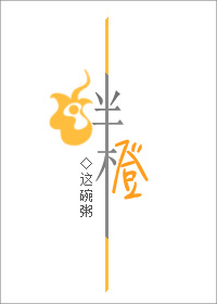 这碗粥的最新小说，深度探究与启示